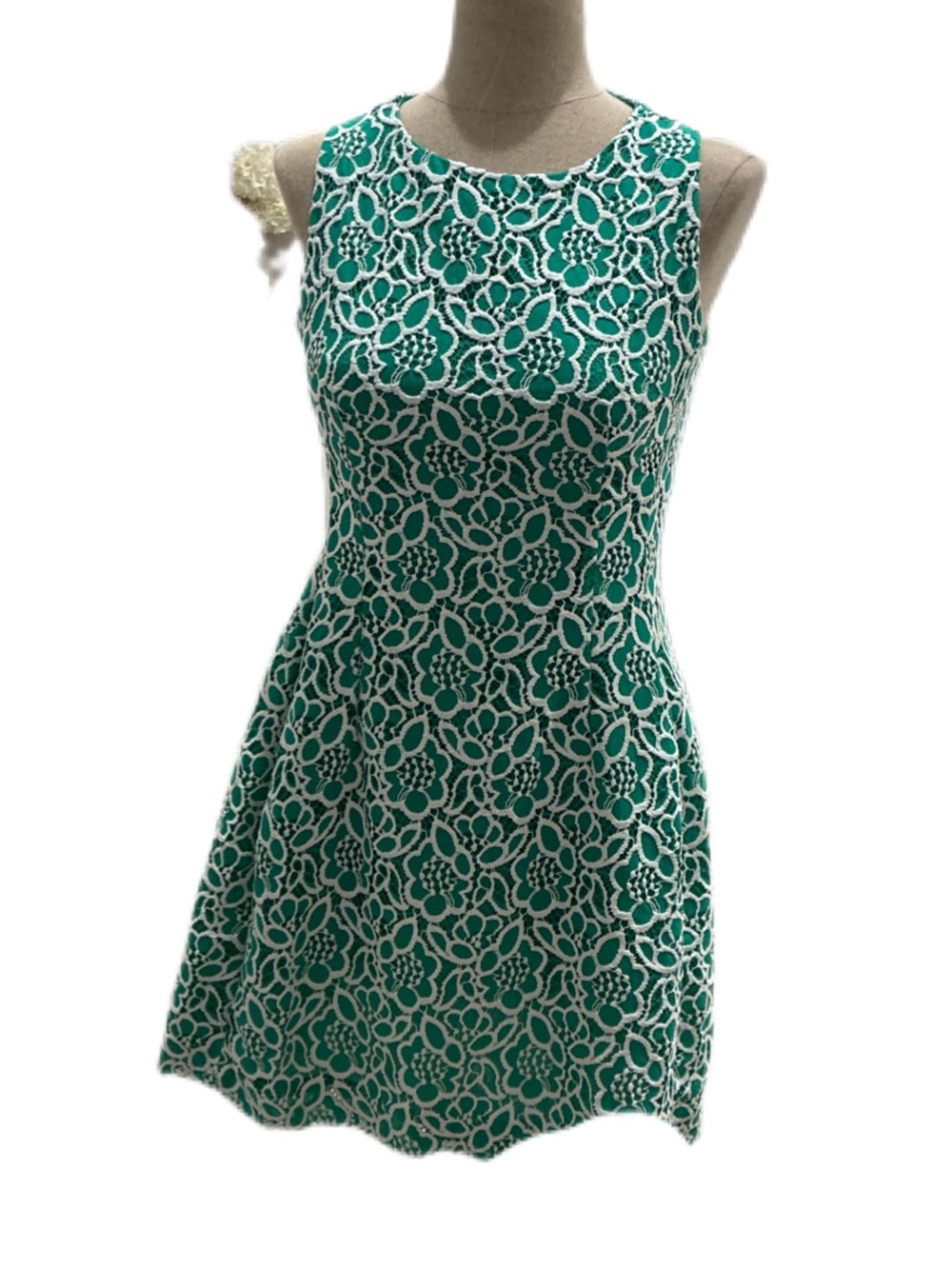eva mendes for New York & Company Green & White Floral Lace Mini Dress